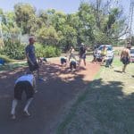 Free Community Movement Class Perth